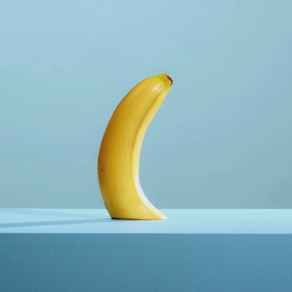 Wingman pack de 12 ultra-fin